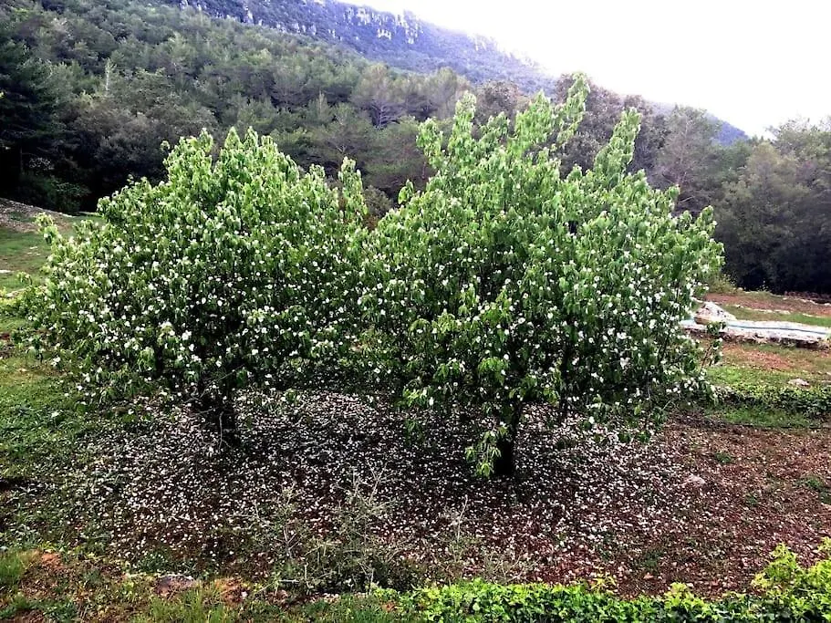 Σπίτι διακοπών Mas Nou Casa Rural Con Piscina Y Vistas Espectaculares La Selva del Camp